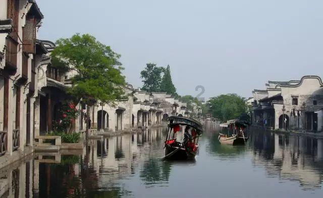 爱吃的鱼